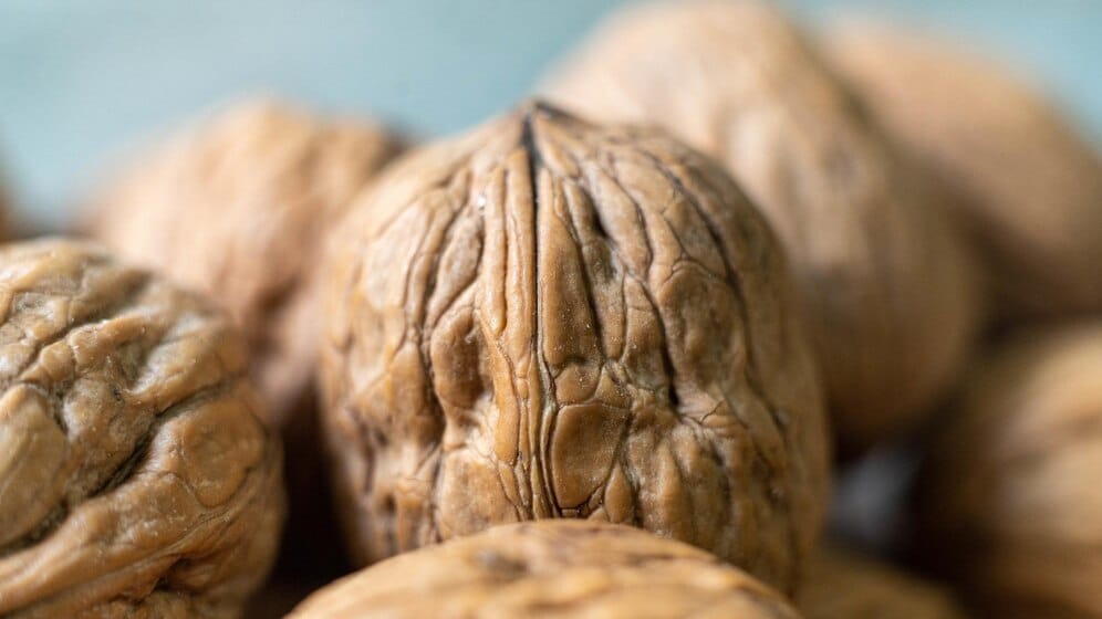 Amazing Walnuts Health Benefits That Is Worth Trying