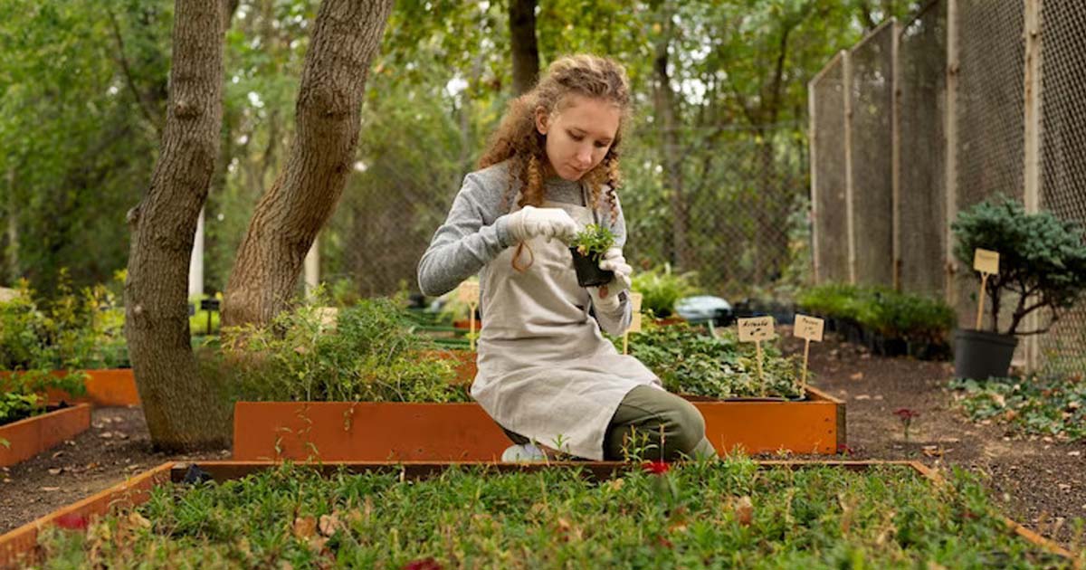 Eco-Friendly Tips For Sustainable Gardening