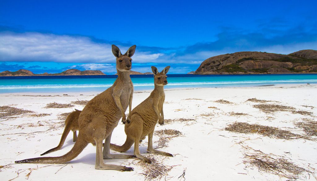  Kangaroo Island