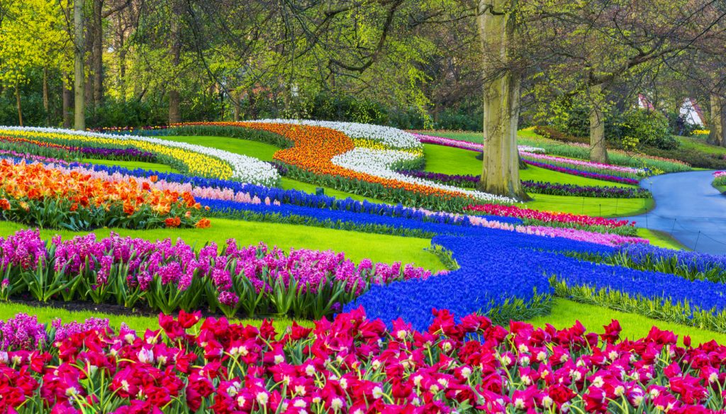 Keukenhof Gardens, Netherlands