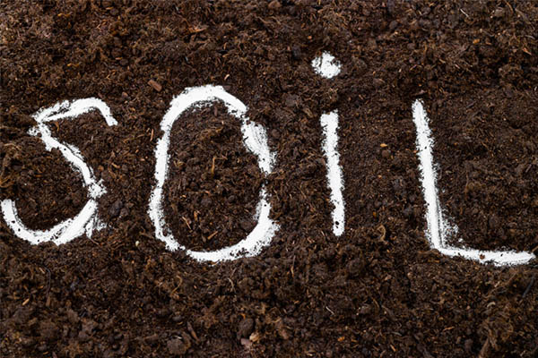  Know Your Soil Conditions