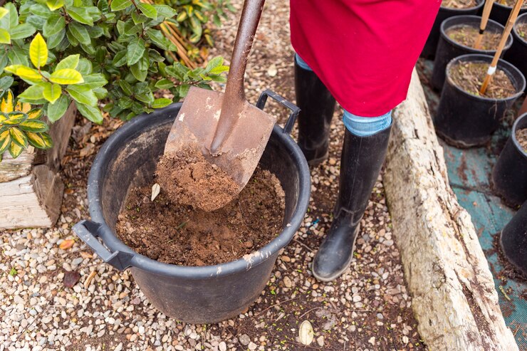 Mulch The Area