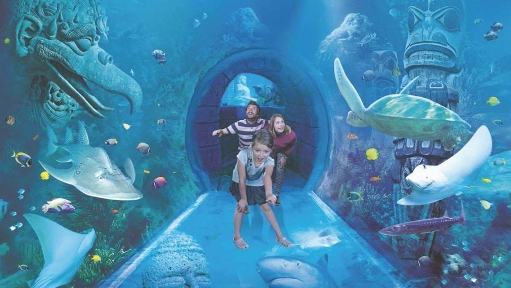  Sea Life Aquarium