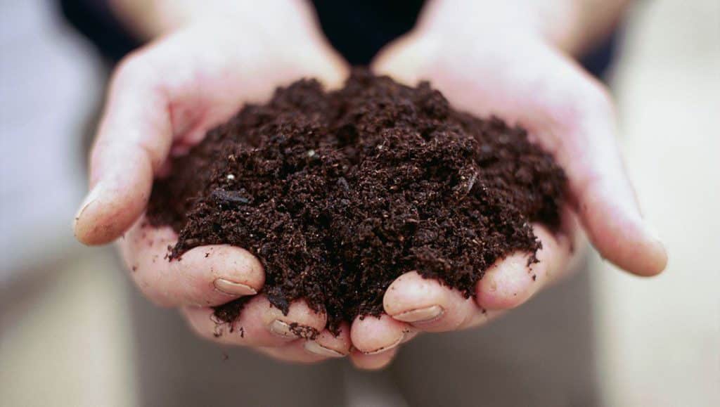 Test and Improve Your Soil