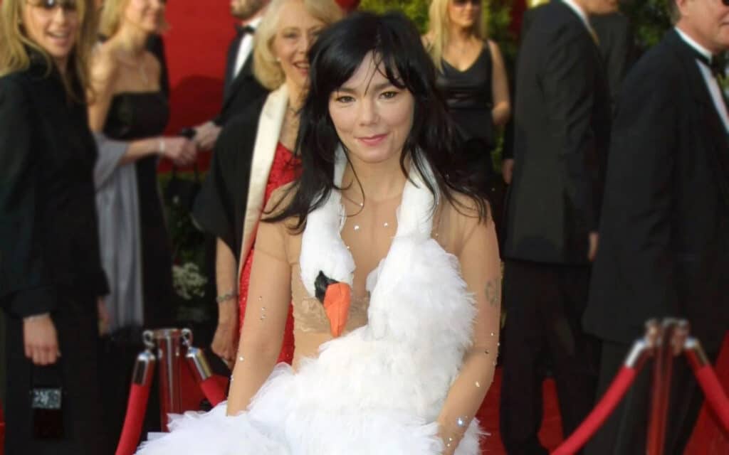 Bodyguards Ruined Björk's Swan Dress Act