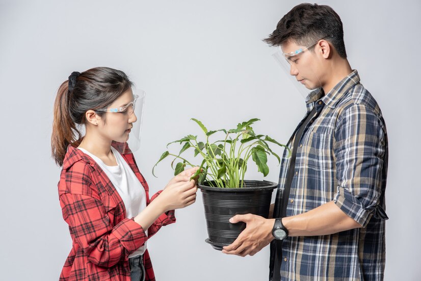 Choosing the Right Plants
